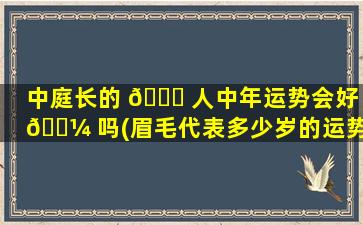 中庭长的 🐋 人中年运势会好 🐼 吗(眉毛代表多少岁的运势)